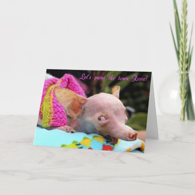 Peignons la carte de la ville Rosie ! (Devant)