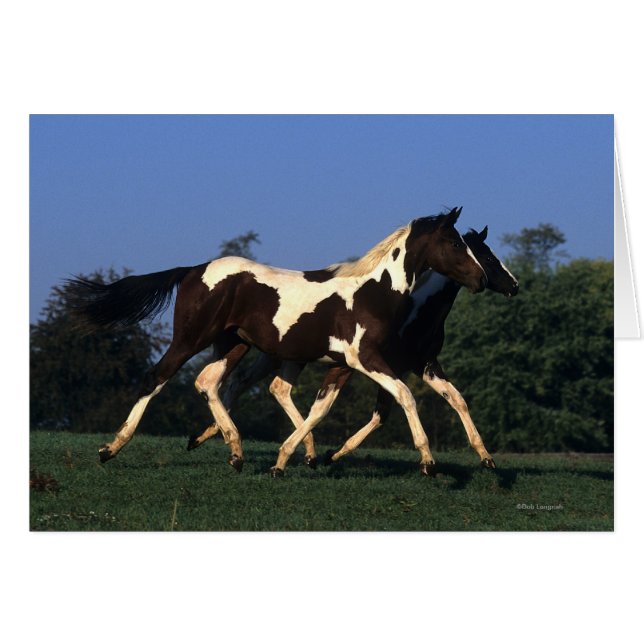 Peindre les oreilles en cours (Devant horizontal)