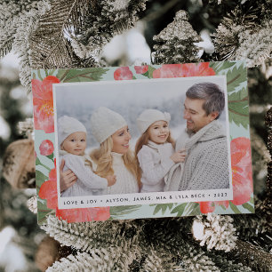 Peine d'hiver Carte photo de vacances