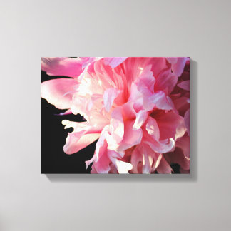 Peine rose sur toile Arrière - plan noire Imprimer