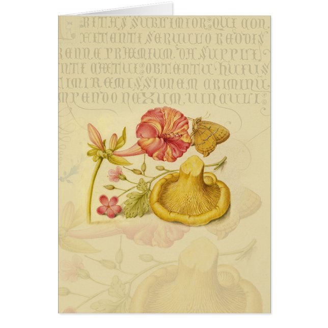 Peinture à l'aquarelle des champignons papillons (Devant)