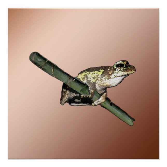 Peinture à l'huile de Petite Grenouille, Poster (Devant)