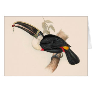 Peinture animalière d'antiquités Toucans