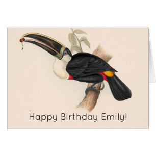 Peinture animalière d'antiquités Toucans