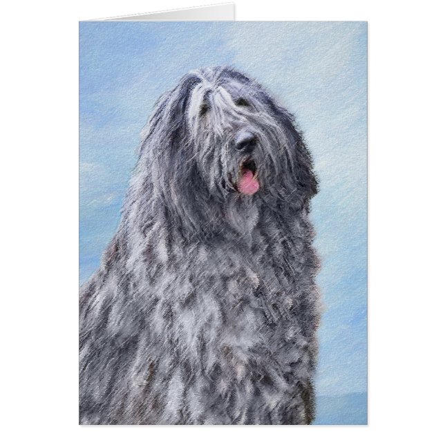 Peinture Bergamasco Sheepdog - Chien original mign (Devant)