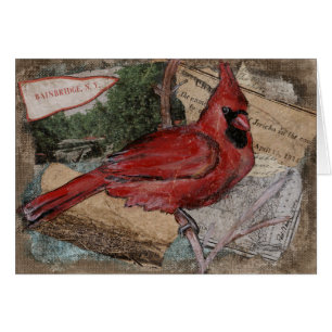 Peinture cardinale d'oiseau