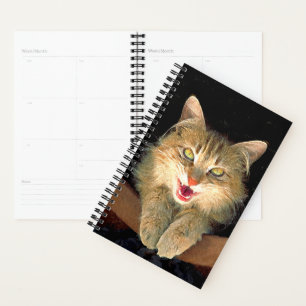 Peinture de chat Mad - Cute Original Cat Art
