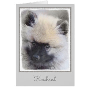 Peinture de chiot de Keeshond - jolie art de chien