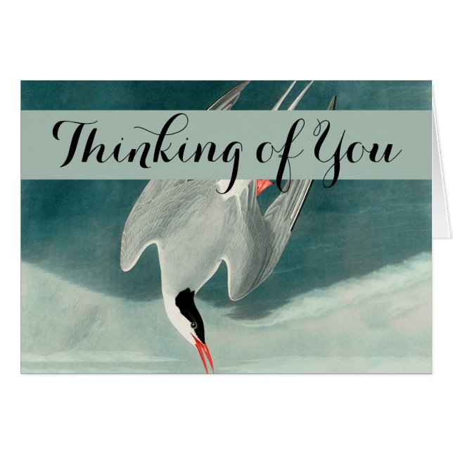 Peinture de la faune de la sterne de l'Arctique Au (Devant horizontal)