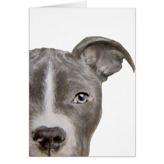 Peinture et conception originales de pitbull par