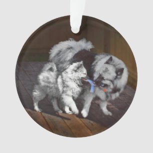 Peinture Keeshond Playtime - Jolie art original ch