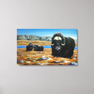 Peinture Muskox toile canadienne de la faune Impri