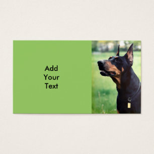 Peinture rêveuse de visage de Pinscher de