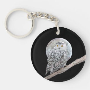 Peinture sur la Chouette neigeuse et la Lune - Art