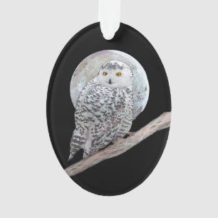 Peinture sur la Chouette neigeuse et la Lune - Art