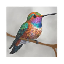 Peinture vibrante de colibri d'Allen