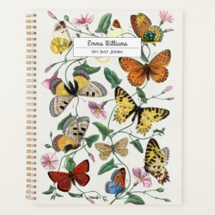Peinture vintage de papillon et de papillon