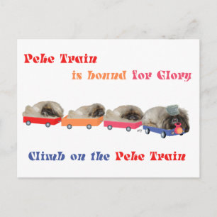 Peke-Zug - Auf dem Weg zum Ruhm Postkarte