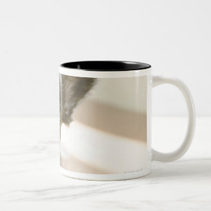 Peki-Französisch Zweifarbige Tasse