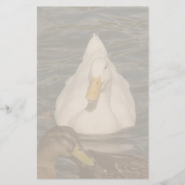 Pekin Enck Birds Stationierung Briefpapier (Vorderseite)