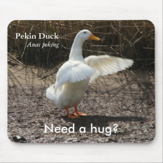 Pekin Ente (benötigen Sie eine Umarmung?), Mousepad