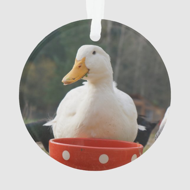 Pekin Enten-Verzierung Ornament (Rückseite)