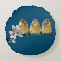 Pekin Robins