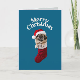 Pekinese Weihnachtszeit-Strumpf Karte
