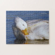 Peking Duck lächeln ein Mona Lisa Lächeln in der S