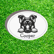 Peking German Shepard Puppy