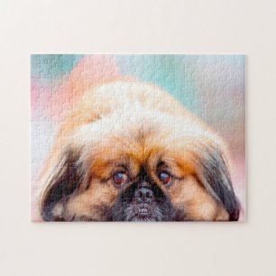 Pekinger Hund.