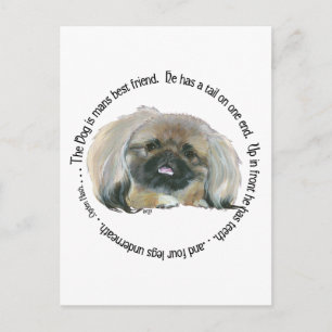 Pekinger Weisheit - Der Hund ist der beste Freund  Postkarte