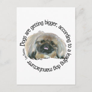 Pekinger Weisheit - Hunde werden größer Postkarte