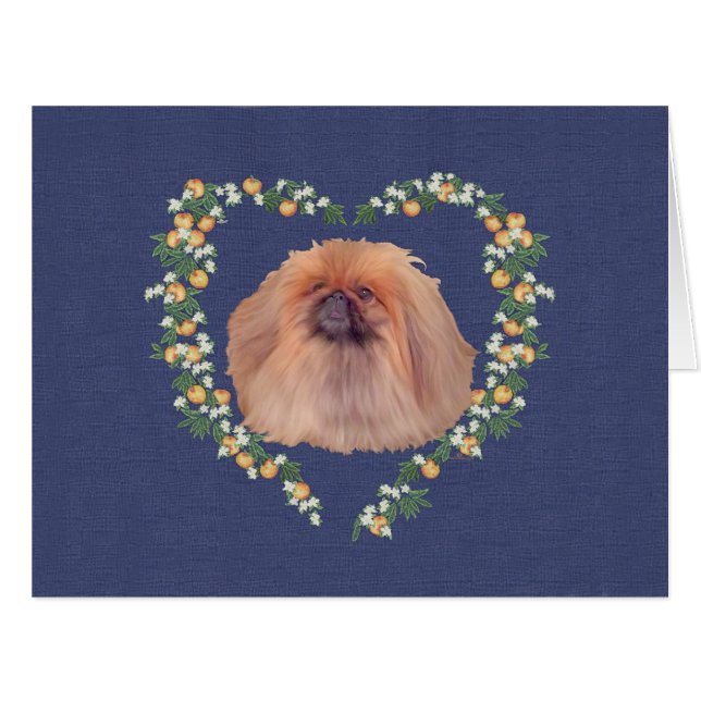 Pekingese (Devant horizontal)