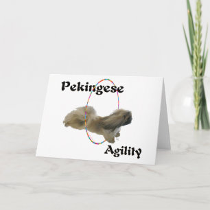 Pekingese Agility Grußkarte Karte