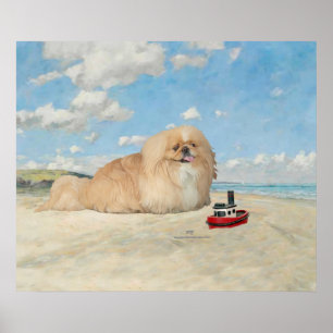 Pekingese am Meer Poster