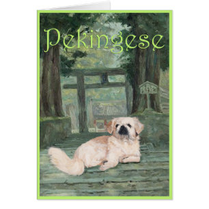 Pekingese am Orientalischen Tor