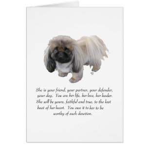 Pekingese Andenken - WEIBLICH