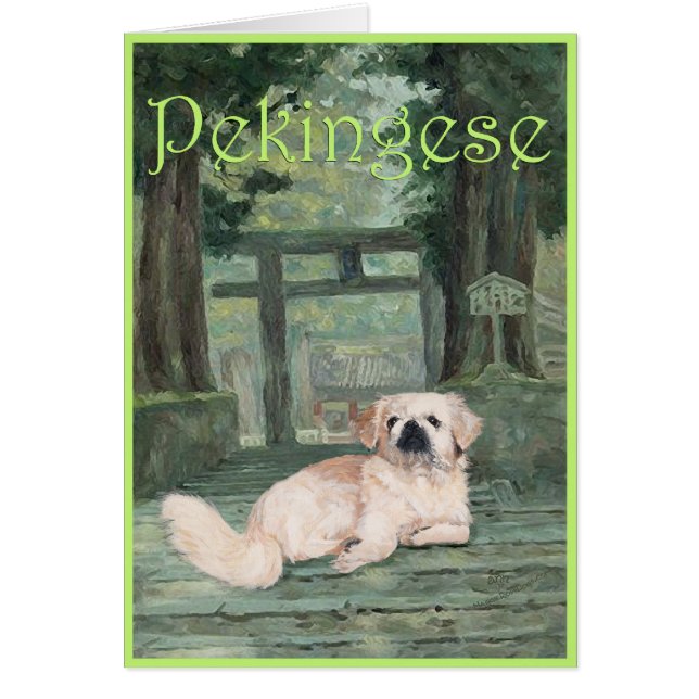 Pekingese beim Oriental Gateway (Vorne)