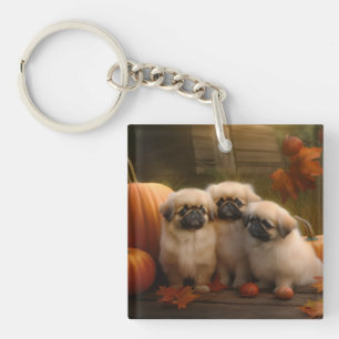 Pekingese Chiot Automne Citrouille délice