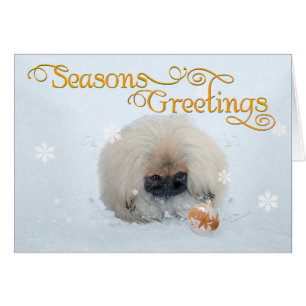 Pekingese Chiot Premier Noël