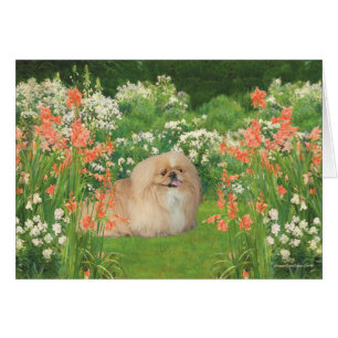 Pekingese dans le jardin