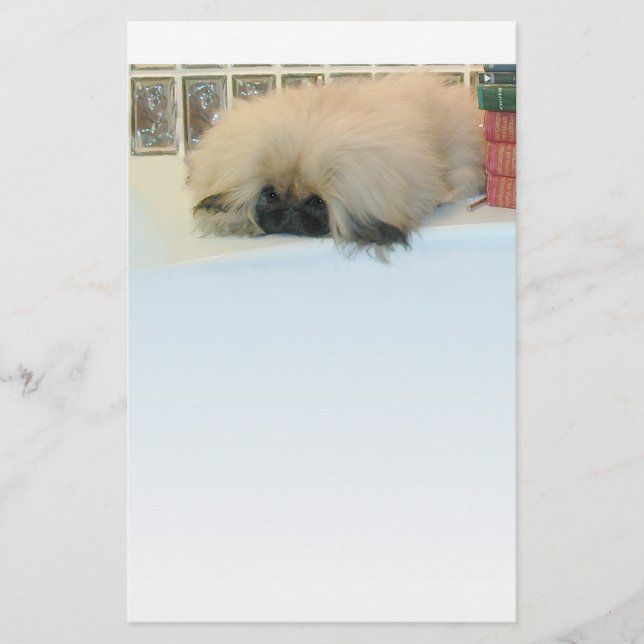 Pekingese Denken Big (Vorderseite)