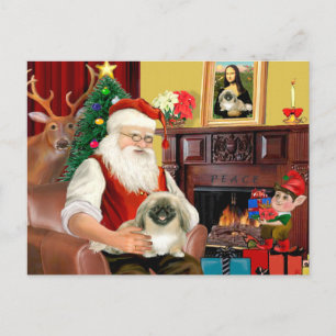 Pekingese des Weihnachtsmanns Feiertagspostkarte