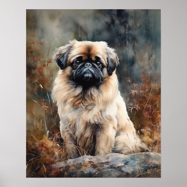 Pekingese Dog Art Print Poster (Vorne)