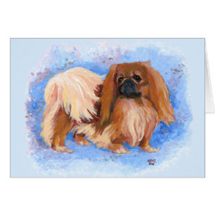 Pekingese Echt Blau