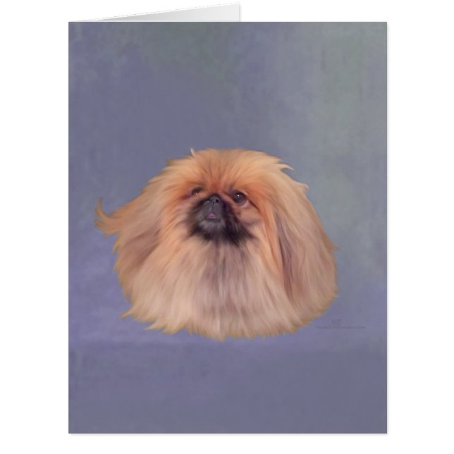 Pekingese en bleu (Devant)