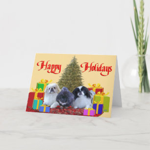 Pekingese Familie Weihnachten
