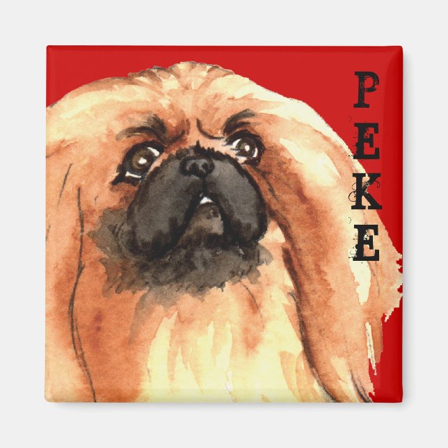 Pekingese Farbblock Magnet (Vorne)