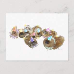 Pekingese-Feiergruppe Postkarte
